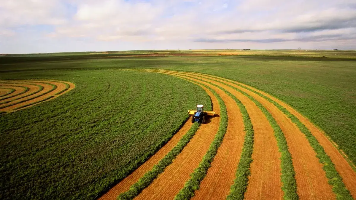 Descubra como adaptar seu pitch de vendas de consórcio para o agronegócio e aumentar suas conversões. Aprenda estratégias para abordar produtores rurais e fechar mais negócios.