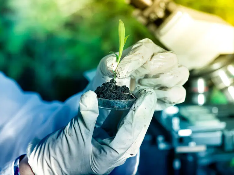 Cientista analisando bioinsumos em laboratório, representando o crescimento do setor e sua importância para a agricultura sustentável.
